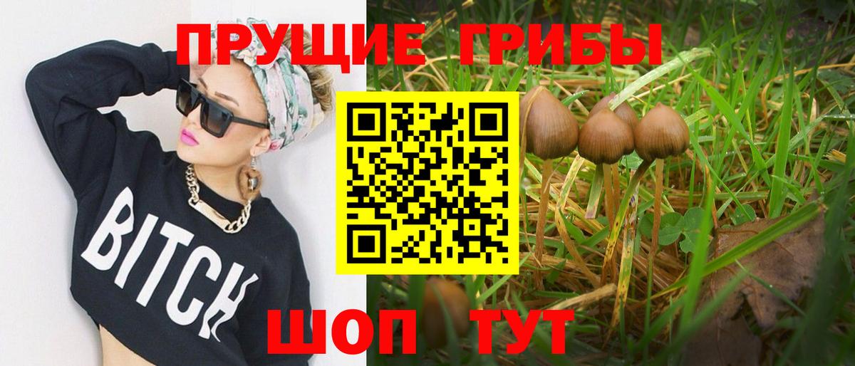 Галлюциногенные грибы MAGIC MUSHROOMS  Вход с VPN  Верхняя Салда 