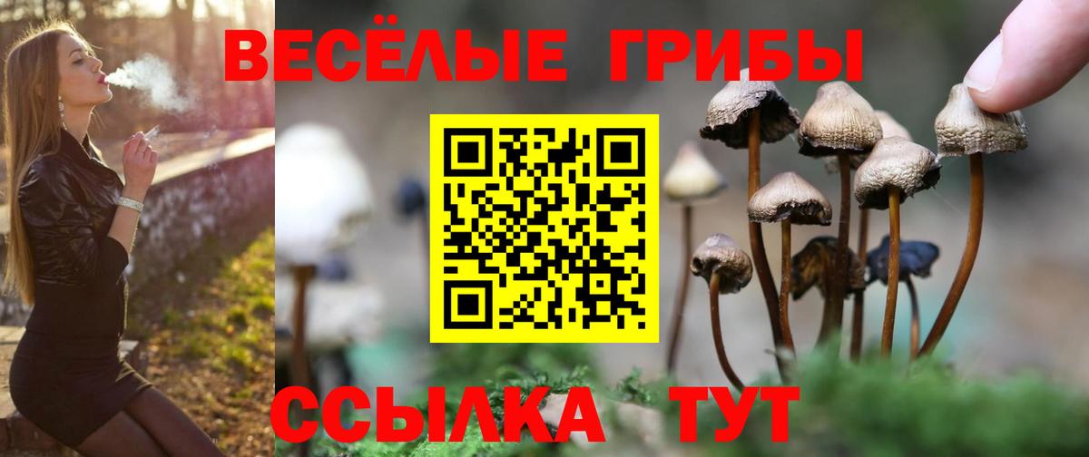 Псилоцибиновые грибы Cubensis Верхняя Салда